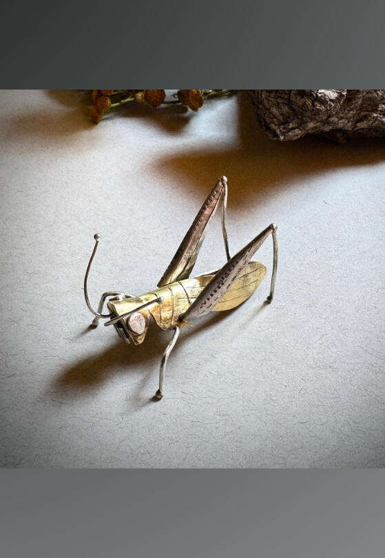 Bug weekend